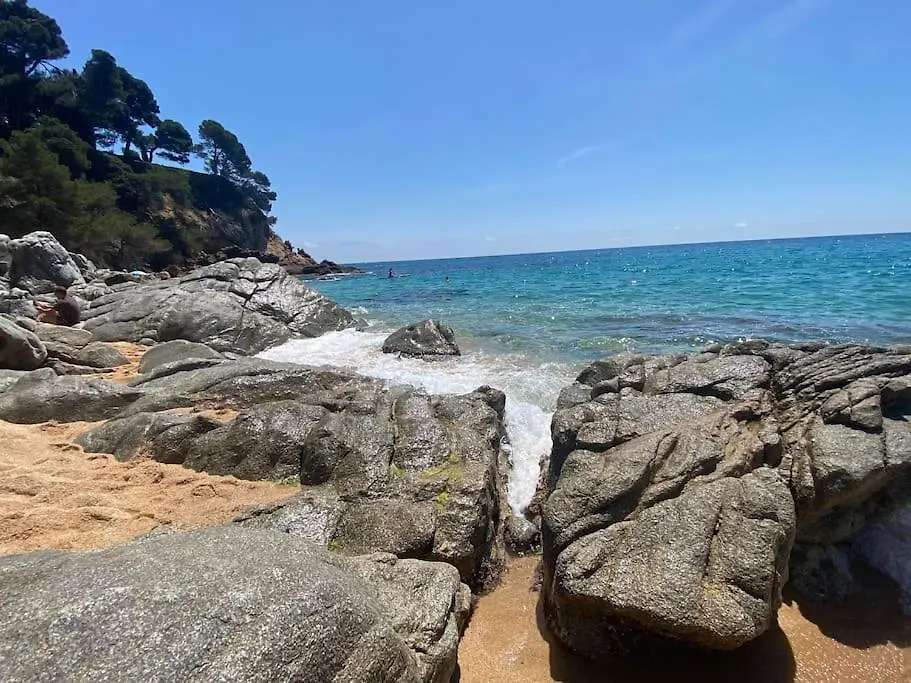 Apartment Apartamento Loft, Lloret De Mar