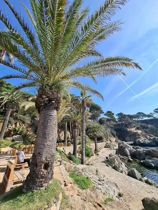 Apartment Apartamento Loft, Lloret De Mar